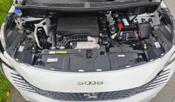 Peugeot 5008 completo