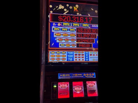 casino pinco online casino pinco online
